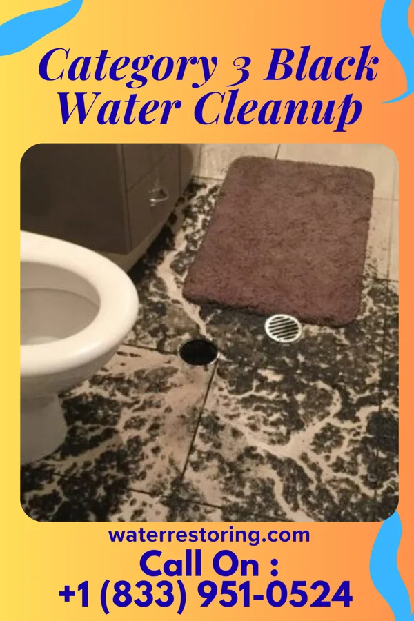 Category 3 Black Water Cleanup in Blue Ridge, AL